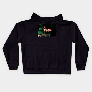 Clovers, night shot of Clover blossoming flowers Kids Hoodie